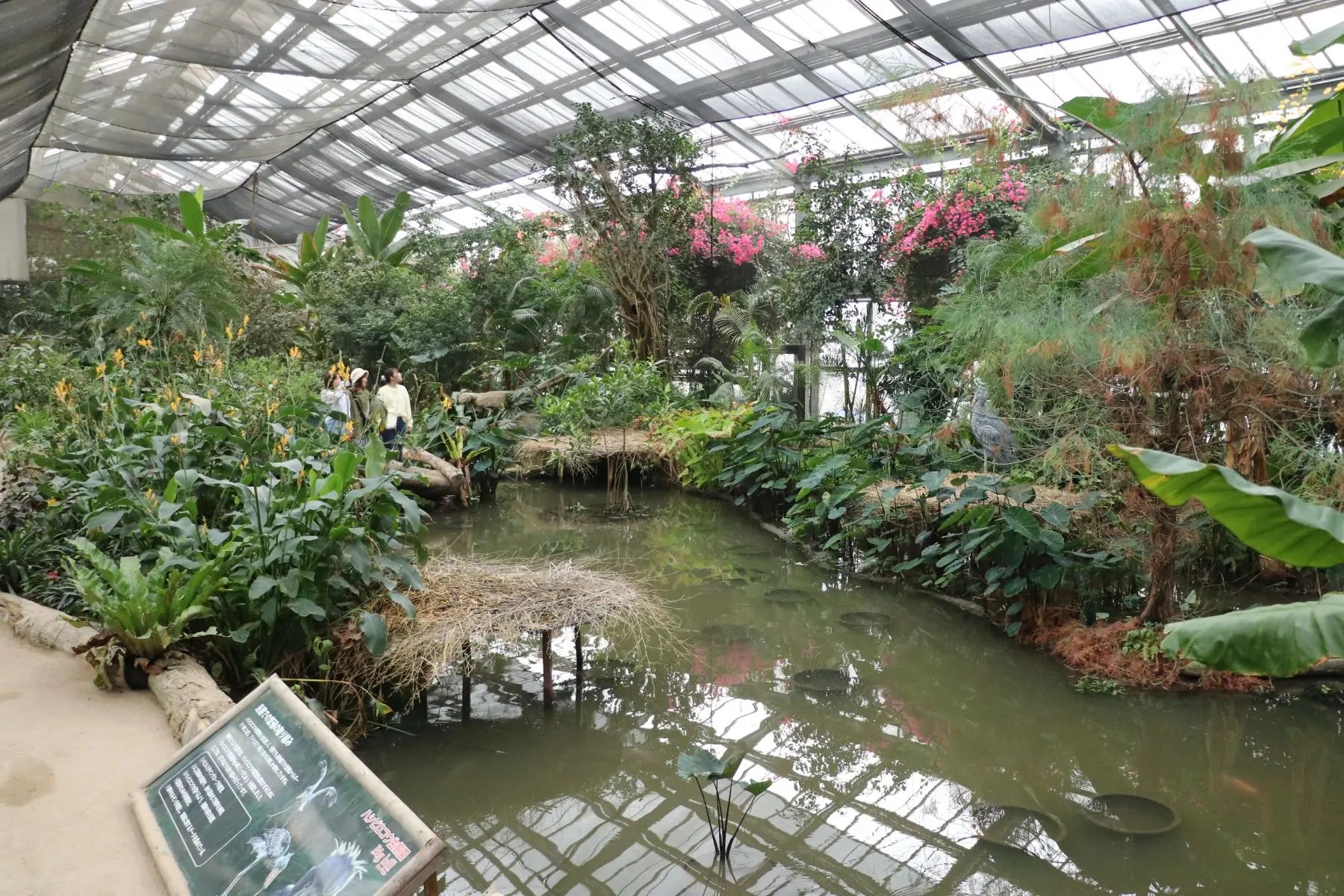 🦁 고베 동물왕국 이미지 4